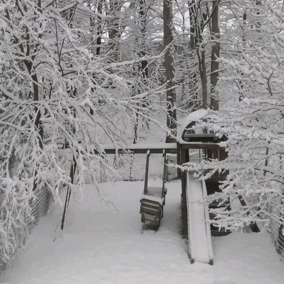 ny365